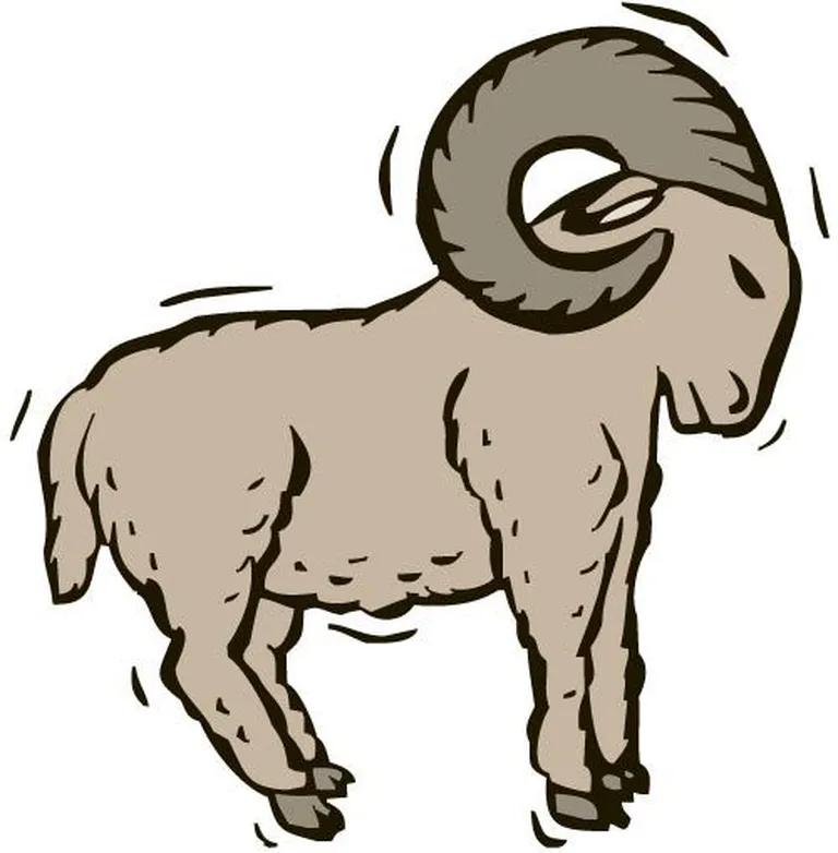 Jäär.