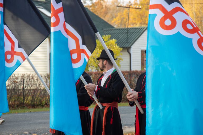 В исторической области Мульги - узнаваемые мотивы в одежде, а с 2013 года существует свой флаг, который разработал Тынно Хабихт из Вильянди. 