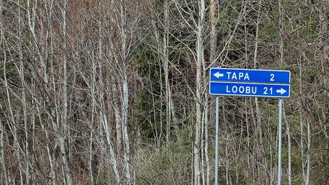 Pool aastat kadunud Tapa koolipoisid leiti Eesti teiset otsast