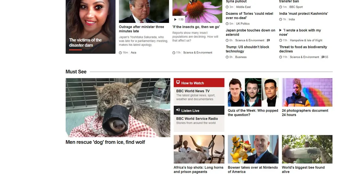 Kuvatõmmis BBC uudiste portaalist