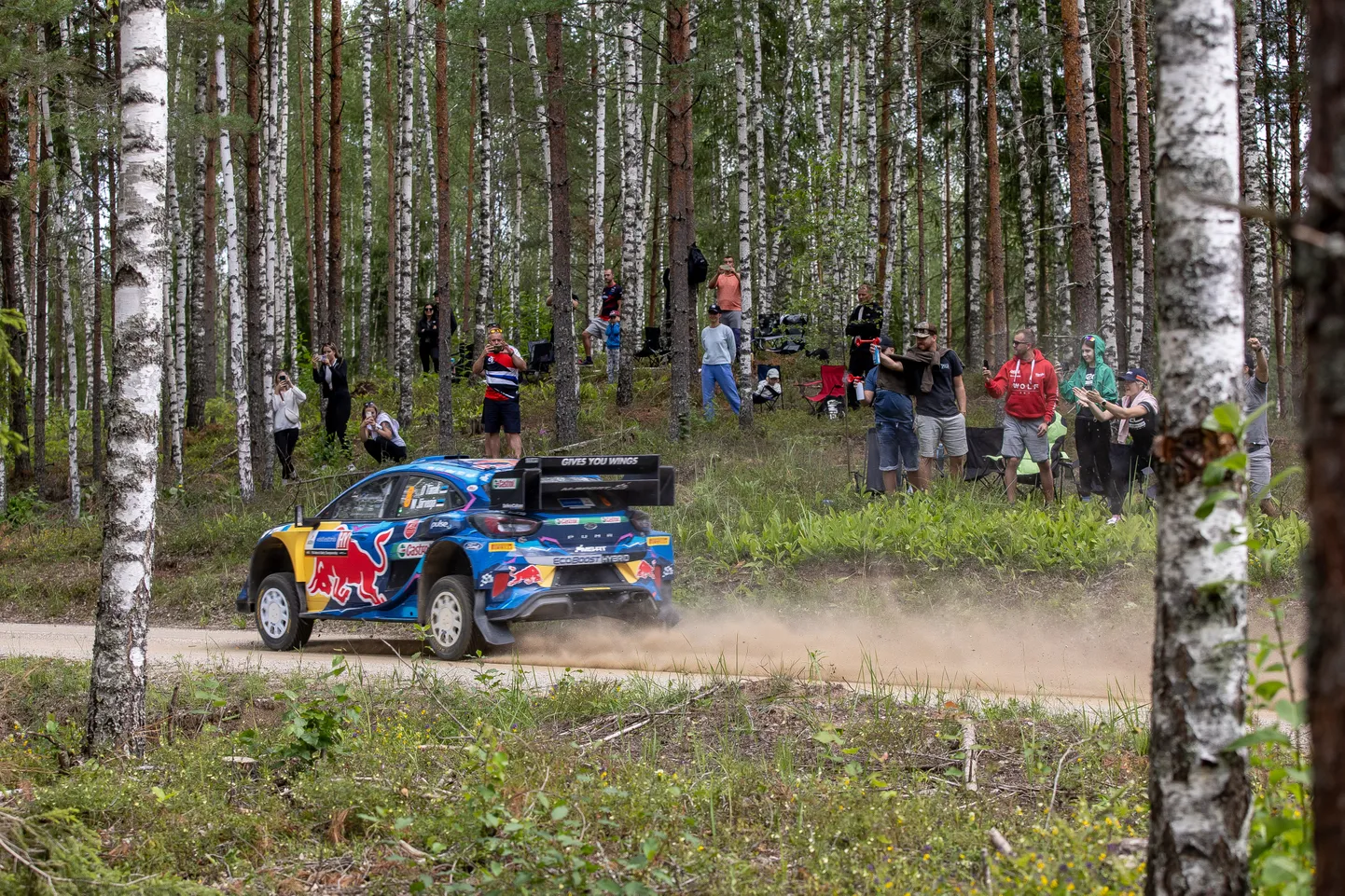 Ott Tänak Rally Estonial