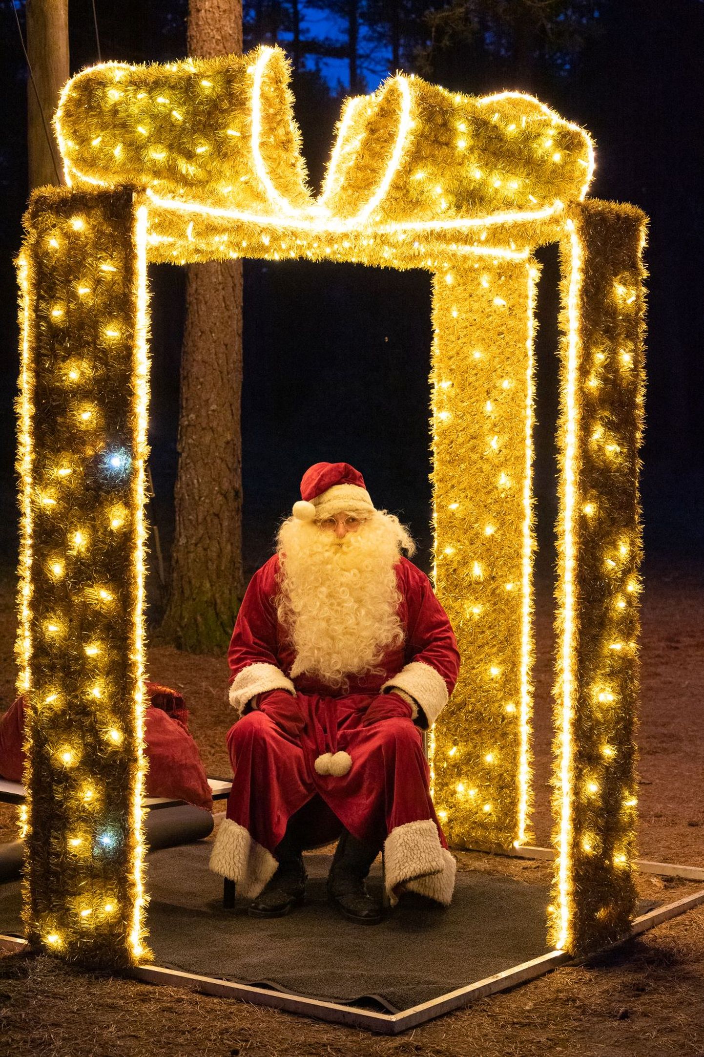 Вандалы испортили рождественскую иллюминацию в Нымме