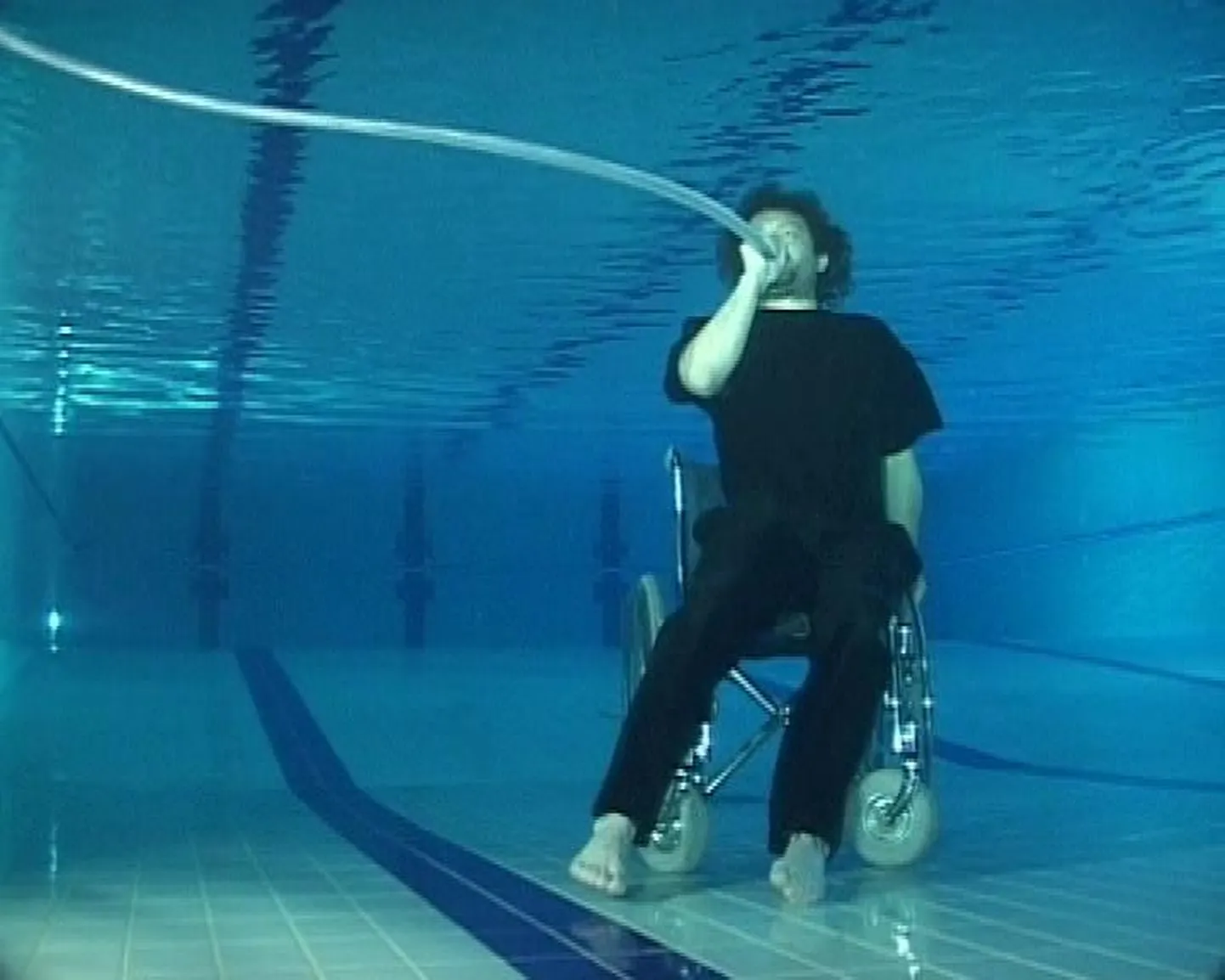 Videoinstallatsioon «Kajakad», 2014.