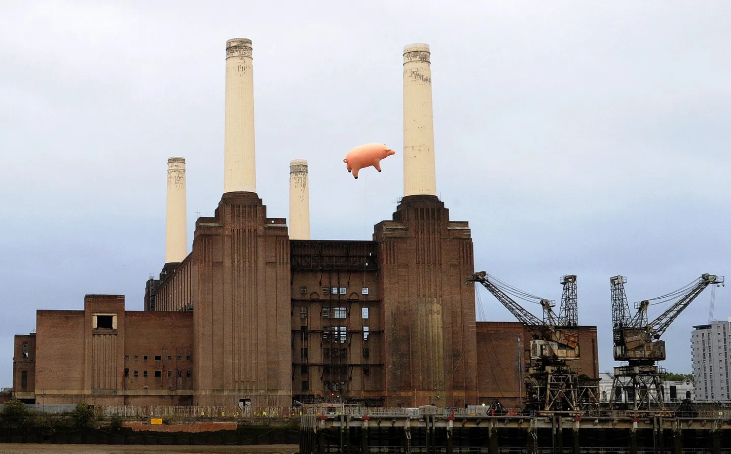 Londonis taaslavastati Pink Floydi 1977. aasta albumi «Animals» kaanepilt