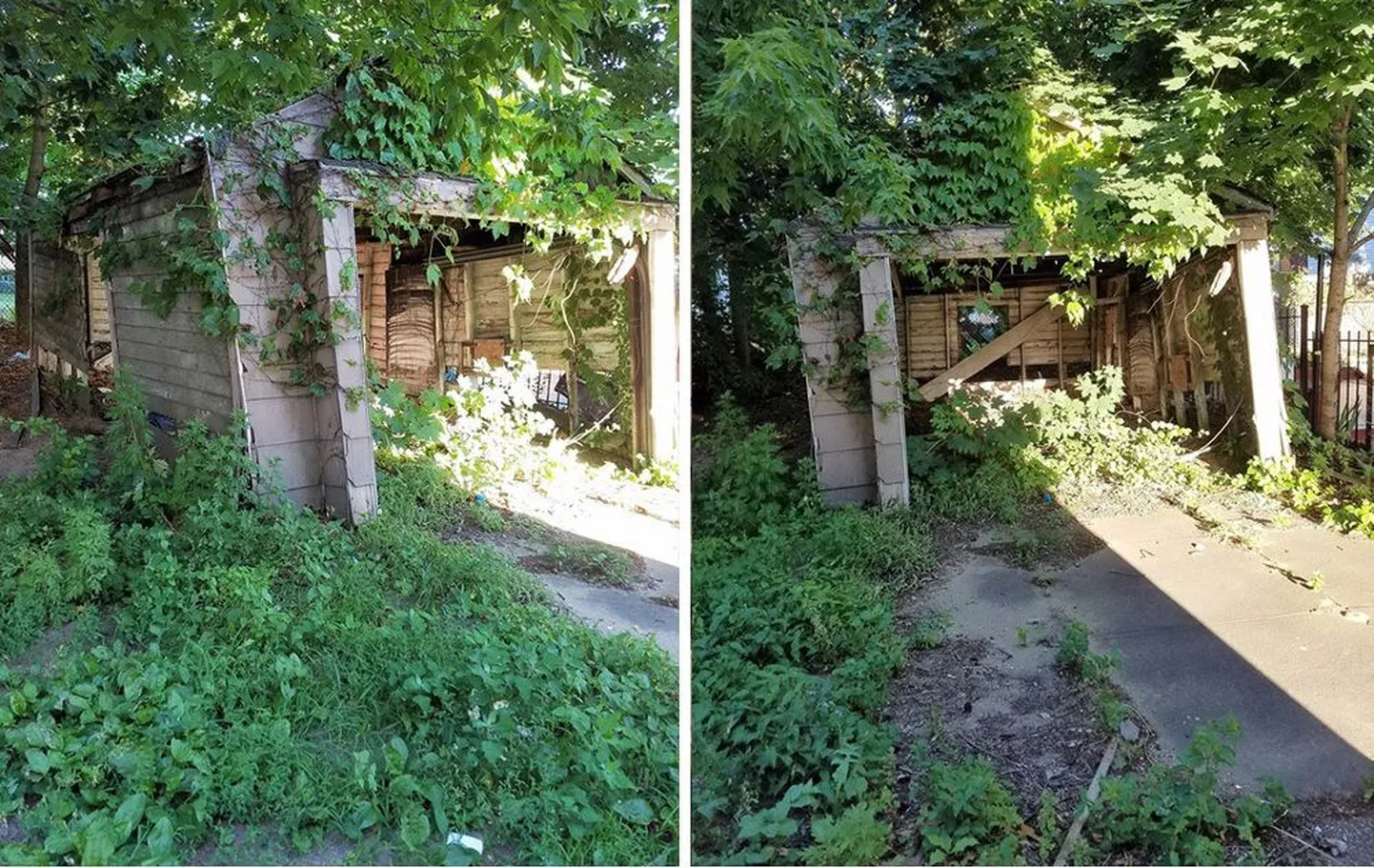 Фото статьи