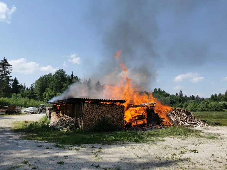 Artikli foto