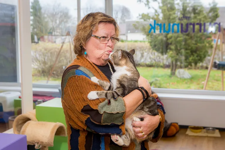 TUULA PENNANEN: “Kui eelmisel aastal oli meil 63 kassipoega, siis sel aastal ainult 22!”