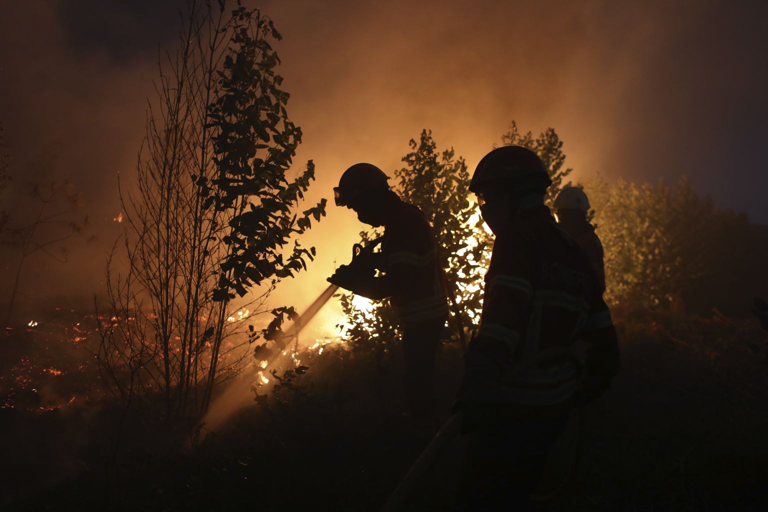 Portugali tuletõrjujad metsapõlenguga võitlemas.