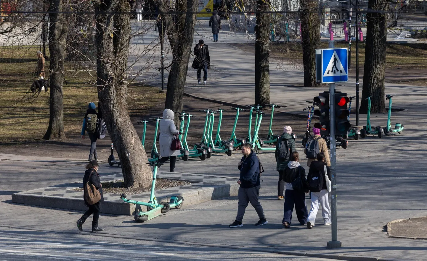 Postimehe vaatlus näitas, et Tallinna südalinnas renditõuksid tõepoolest eriti liikumist ei takista. Aga mida kesklinnast kaugemale, seda rohkem hakkab silma lohakalt keset teed jäetud sõiduriistu. Elektritõukerattad Tammsaare pargis.