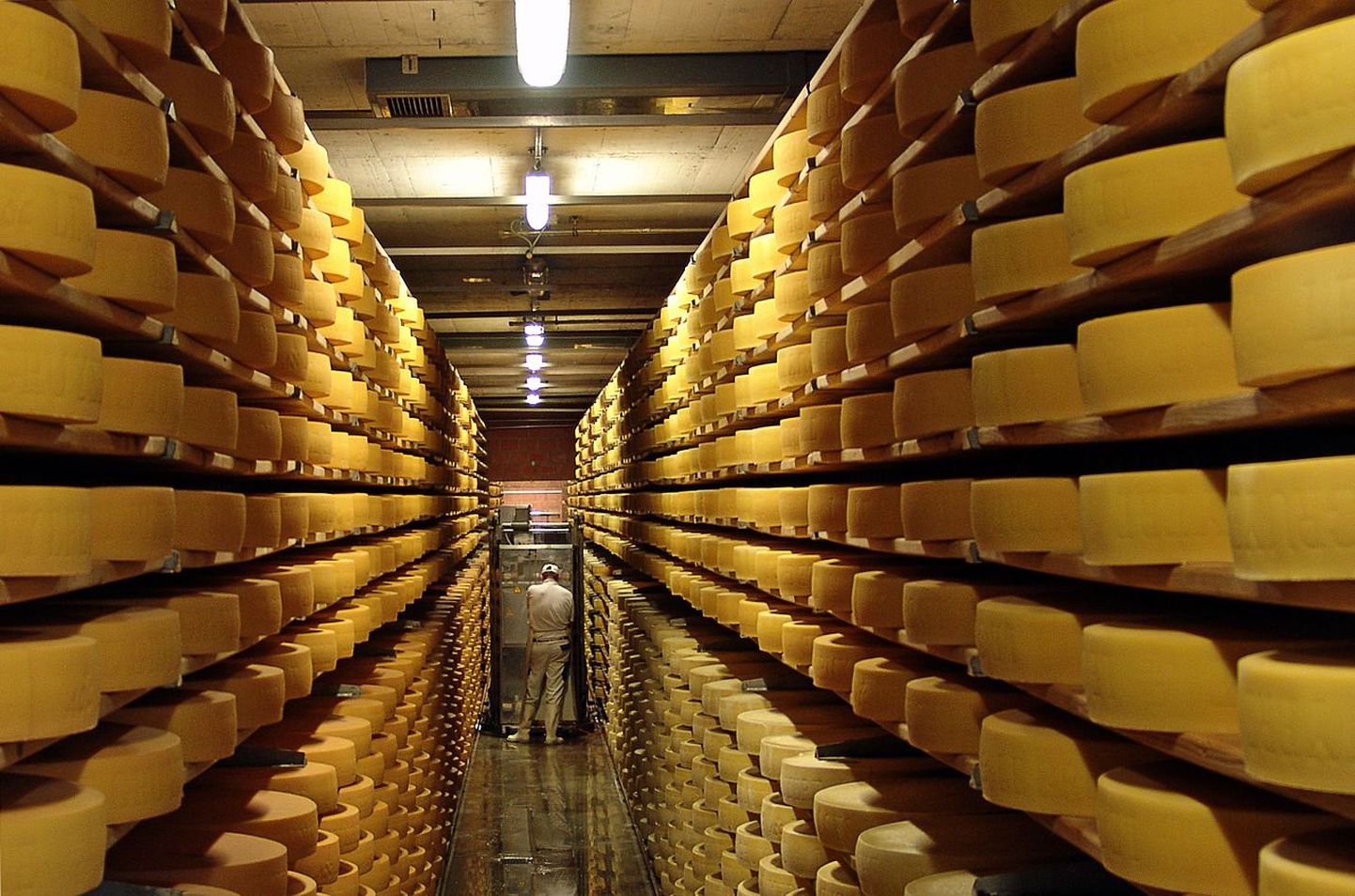 Gruyère´i juust Šveitsist