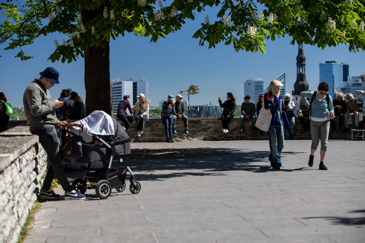 Tallinn among 13 European cities with cleanest air.