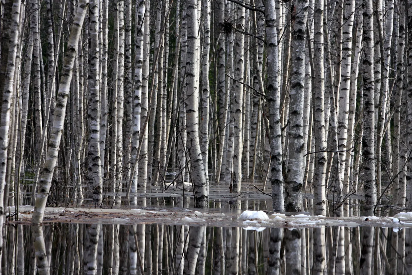 Фото статьи
