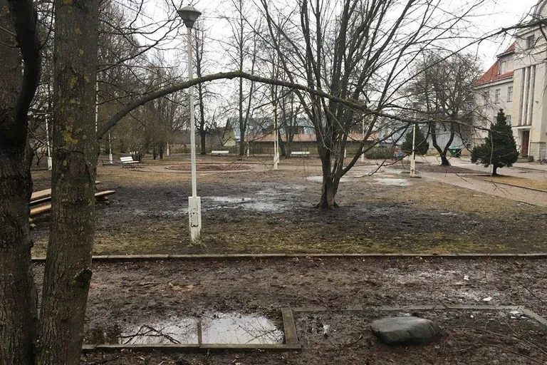 Idee nr 20. Tartu katoliku kooli Tähtpere aed on kõigile avatud mängukeskkond Tähtveres katoliku kiriku kõrval Kassitoome lähedal. Idee esitajate hinnangul on plats praegu liiga kinni kasvanud ja muutub vihmaga poriseks. Aeda kerkiks mängu- ja palliplats ning turnimise koht. Pargiossa istutataks põõsad ja alusmetsataimed.