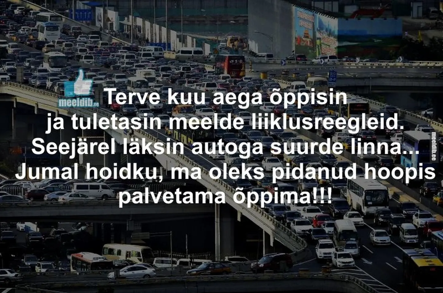 Artikli foto