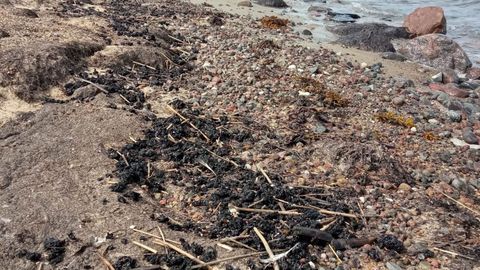 Мазутное загрязнение на берегу острова Вормси ликвидировано
