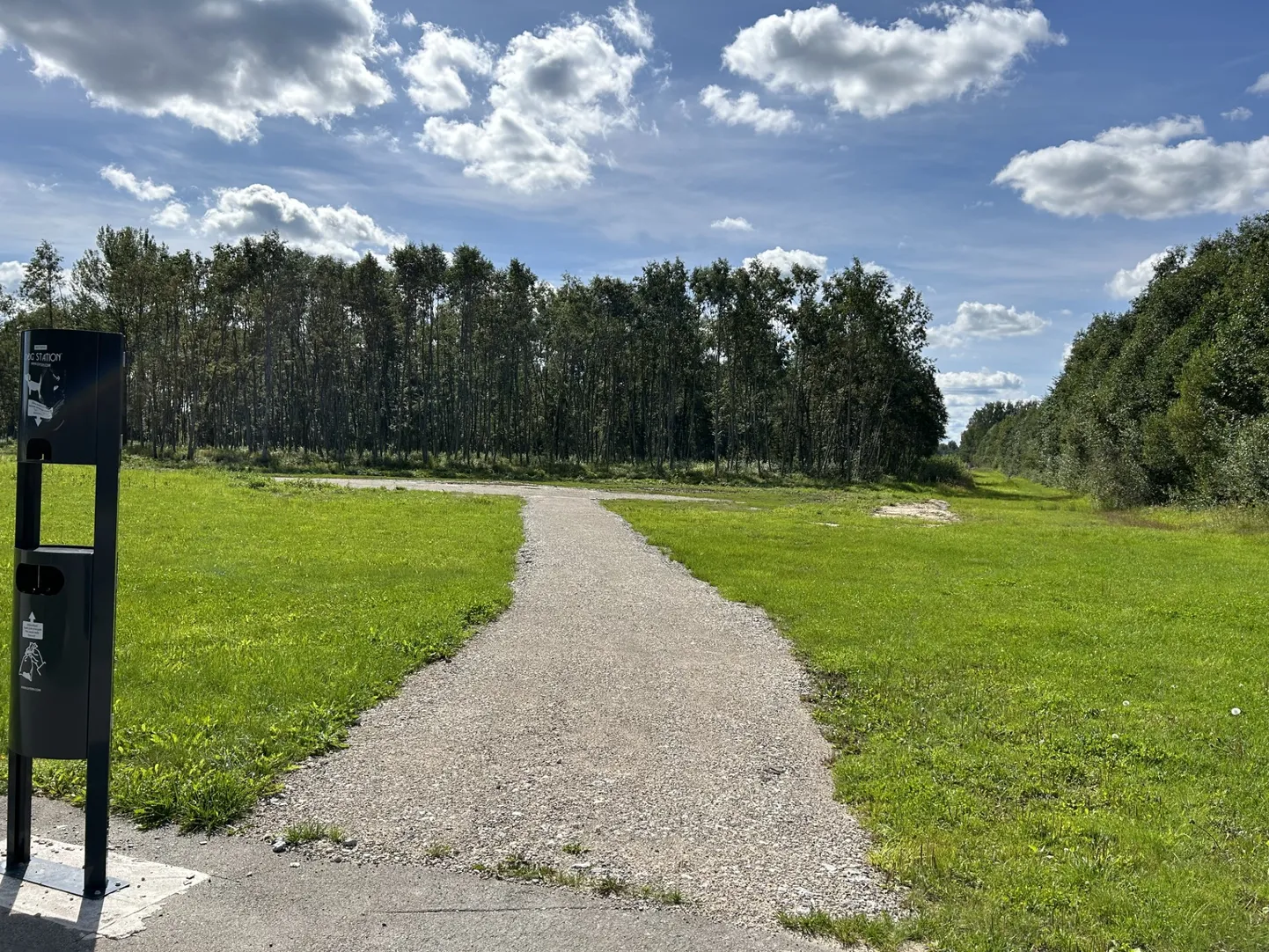 Metsatuka asemel tuleb Raudtee tänava äärde välijõusaal.