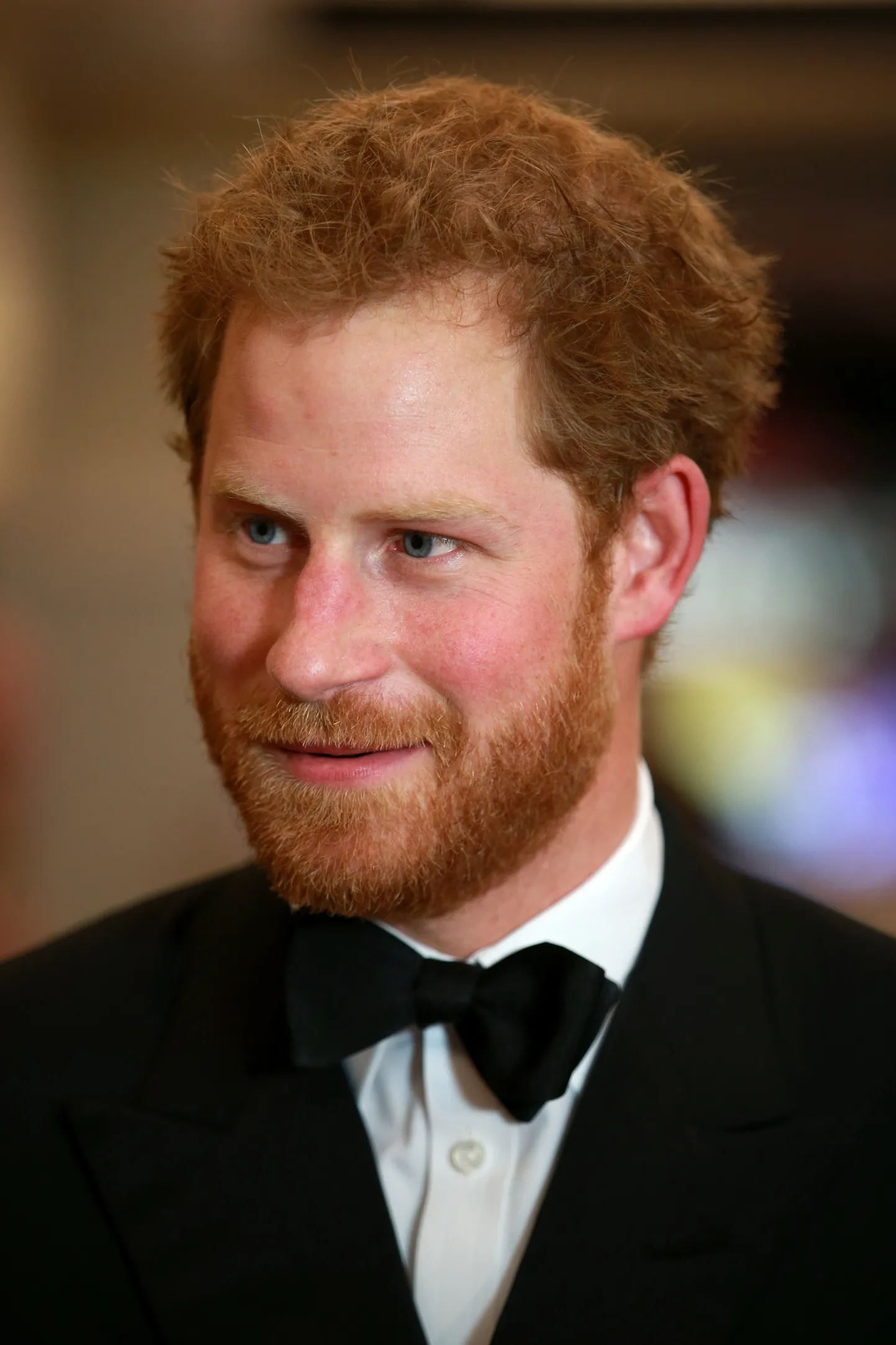 Prints Harry 2015. aastal Bondi filmi «Spectre» esilinastusel Londonis