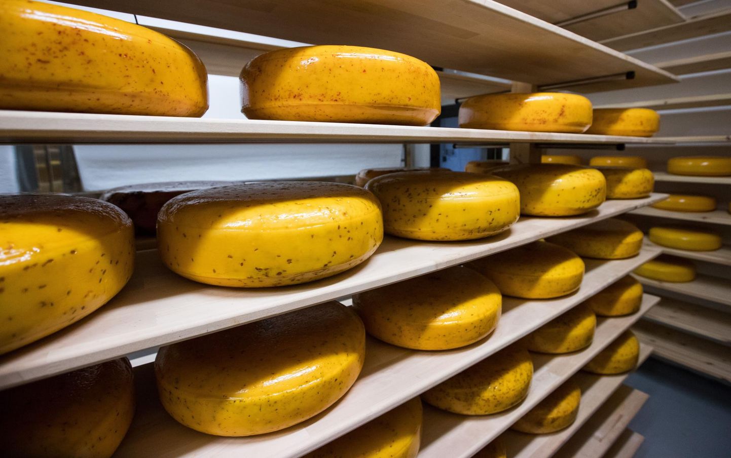Arkna mõisa laadapäeval on võimalik osta ka kohaliku meierei juustu.