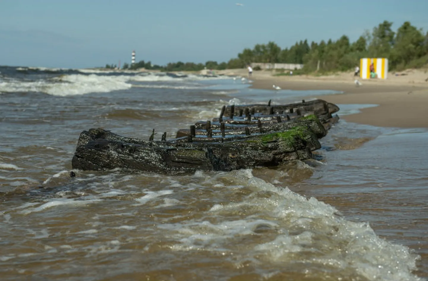 Фото статьи