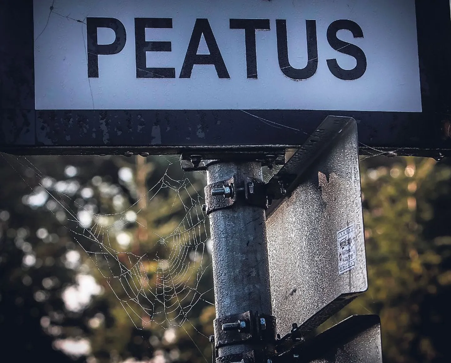 Lelles ühest rongist teise kolimiseks saab olema viis minutit, nii et looduse imelisi pilte pole kas kodust Tallinna või sealt koju sõitval pärnumaalasel aega nautida.