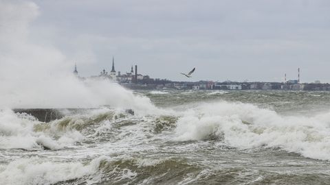 По всей Эстонии объявлено штормовое предупреждение