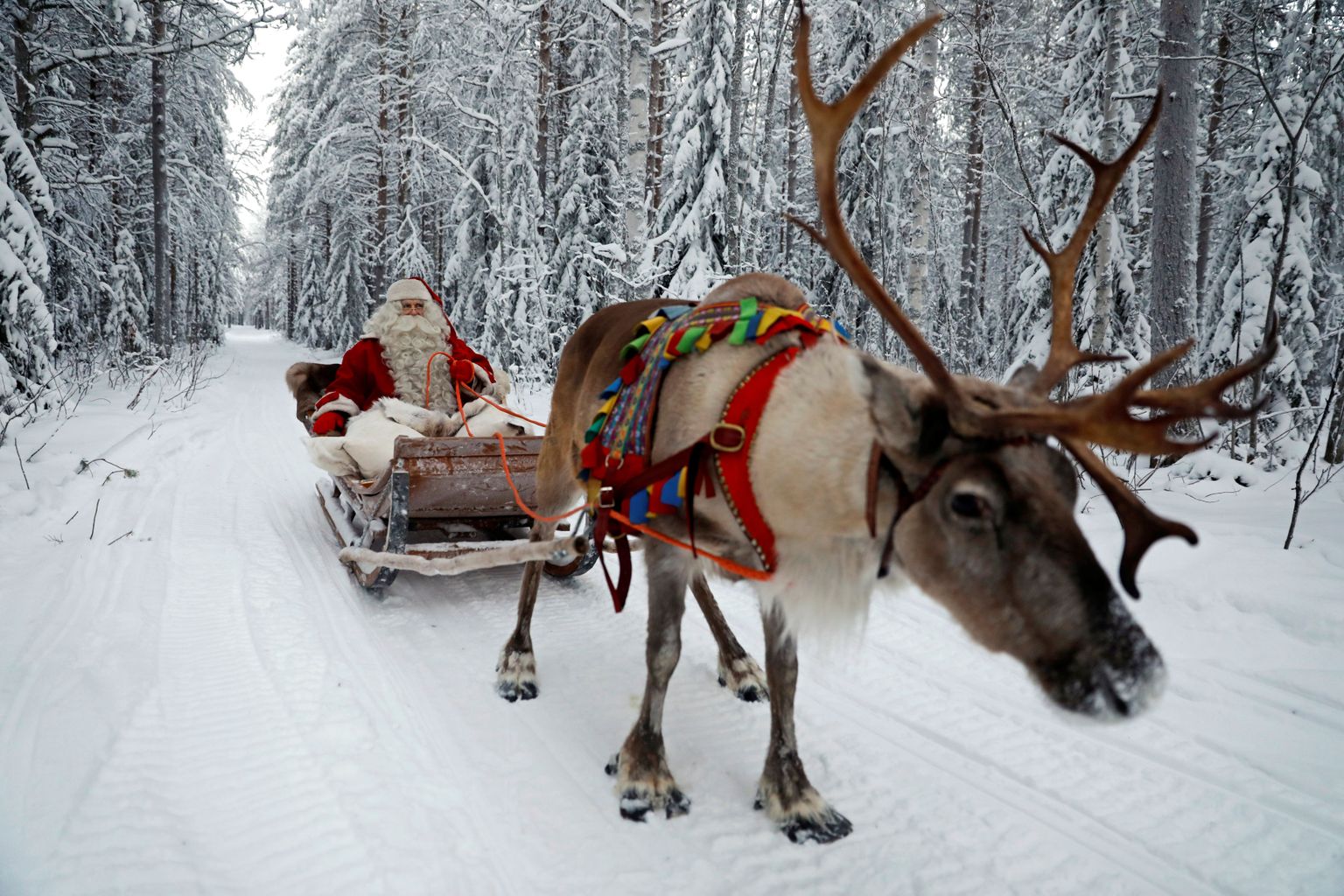 Jõuluvana mullu detsembris oma saaniga Rovaniemi lähistel sõitmas. Eelmise aasta lõpus oli Lapimaal viimase kümnendi vilkaim jõuluhooaeg.