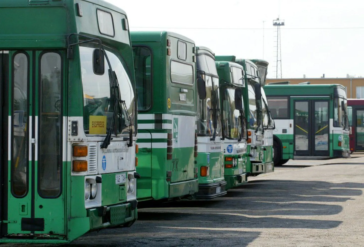 Pildil Tallinna Autobussikoondise bussid.