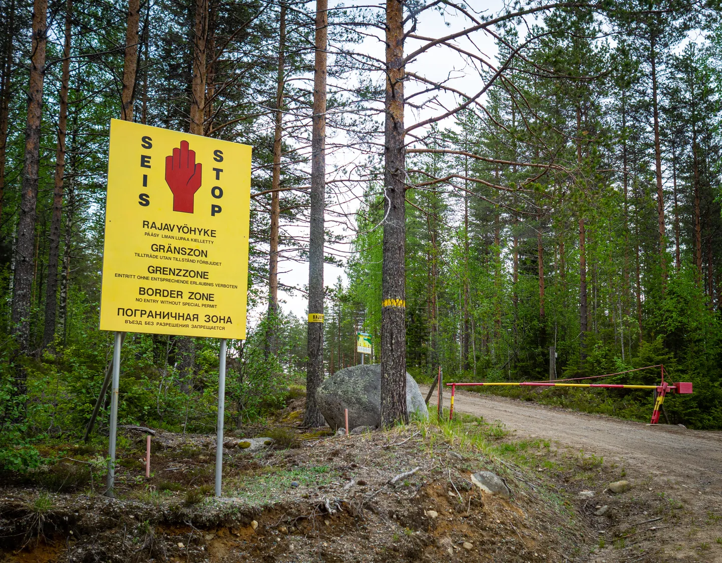 Raksta foto