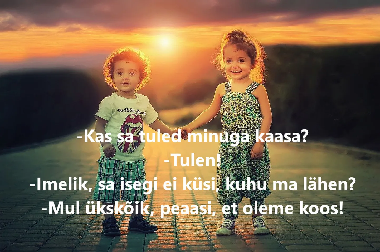 Artikli foto