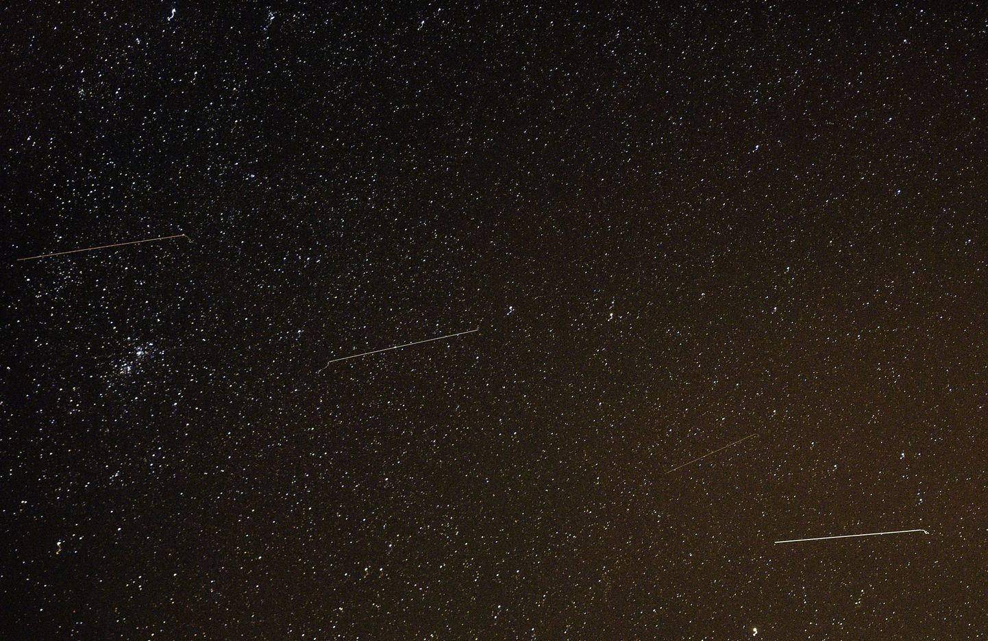 Orioniidide langemine Venemaal Primorjes.