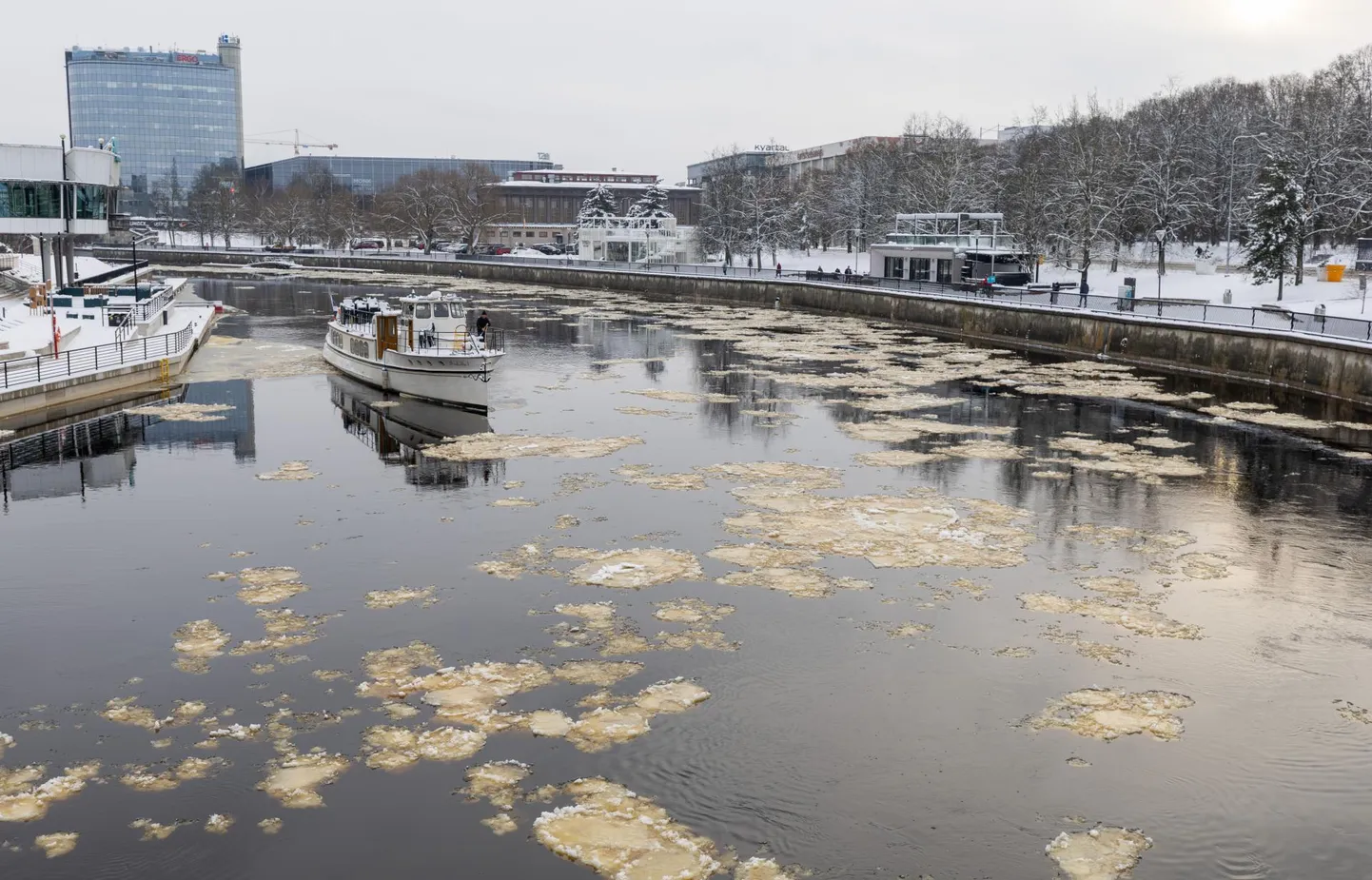 Emajõge mööda ujusid eile sulalumega kaetud jäälatakad, mille vahel võttis Arabella I ette lühikese sõidu oma kodukai juurde.