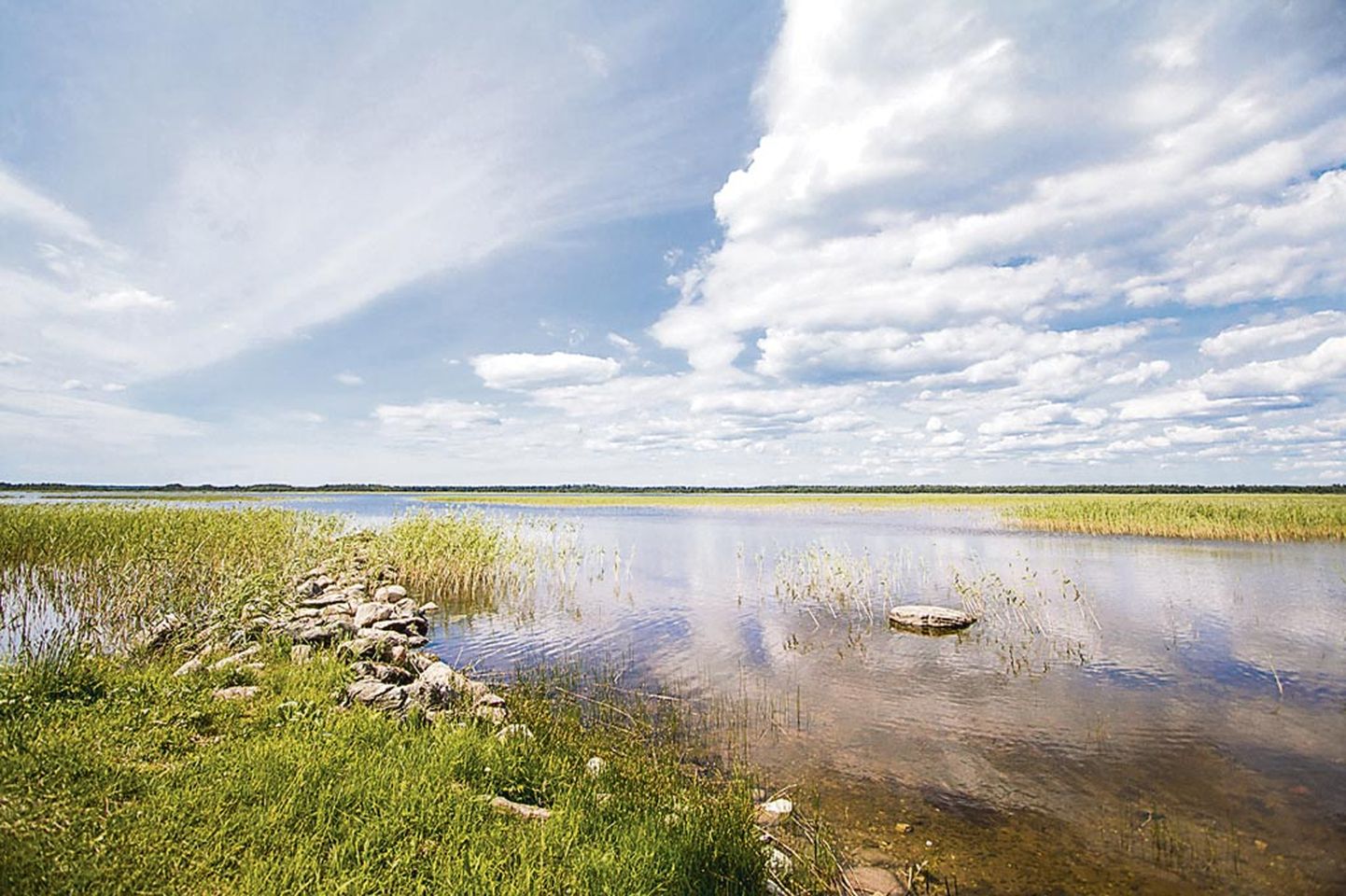 Tõhela (pildil) ja Ermistu järve looduskaitseala kaitsekorra eelnõu tuuakse teist korda avalikule arutelule. Enne seda aga vajavad Tõhela järve taime- ja linnuliigid inventuuri.