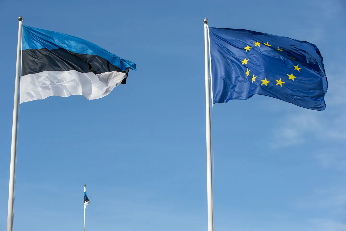 Euroopa Liidu ja Eesti lipud