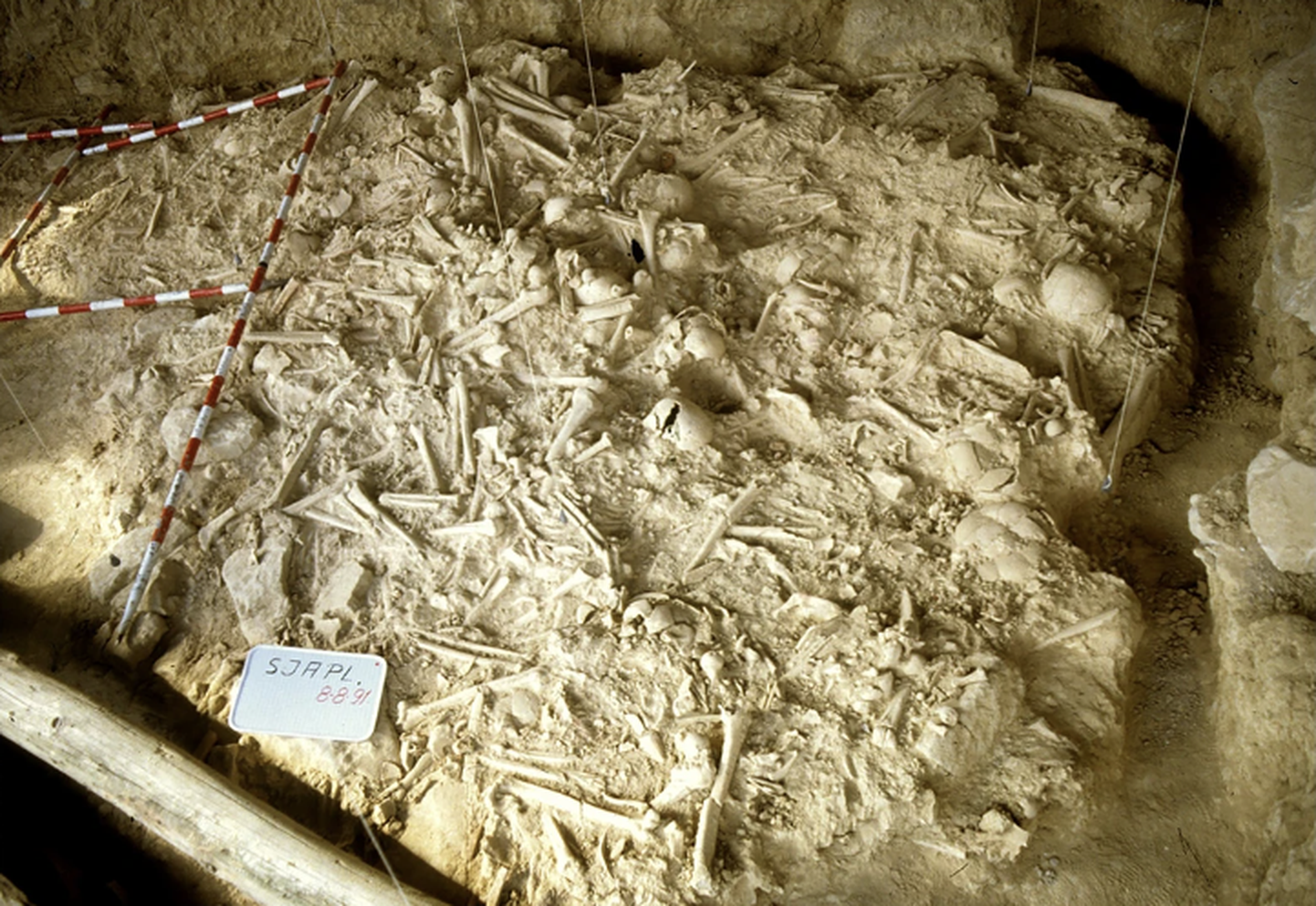 5000 aasta vanused inimsäilmed, mis leiti Hispaaniast, San Juan ante Portam Latinamist.