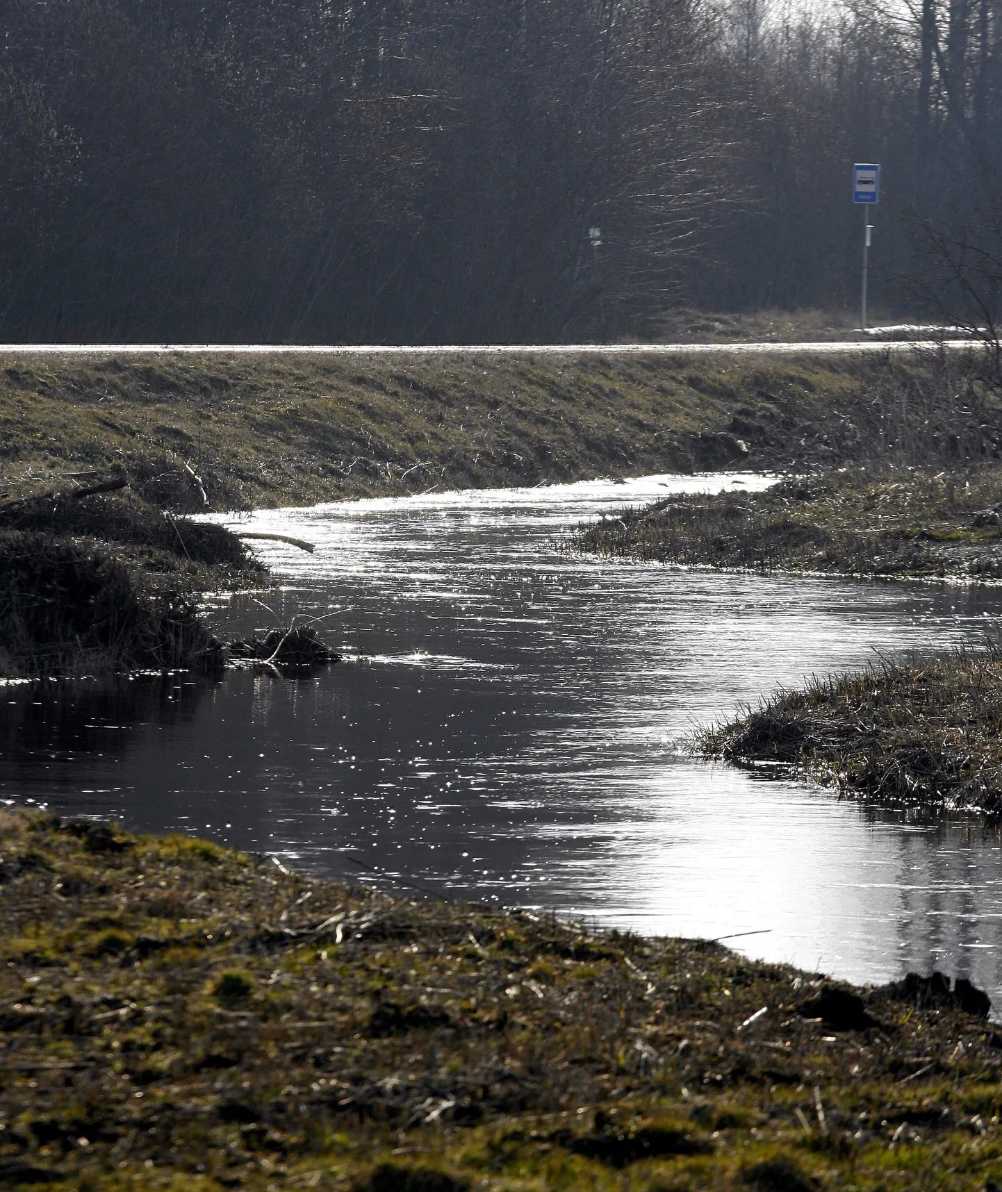 Soomaa rahvuspark Viljandimaal.