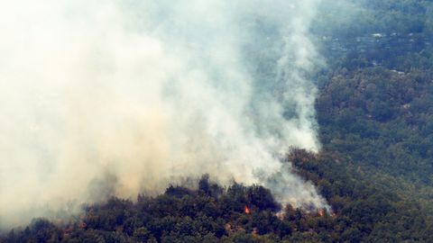 Aprīlī sāksies periods ar vislielāko mežu ugunsgrēku risku