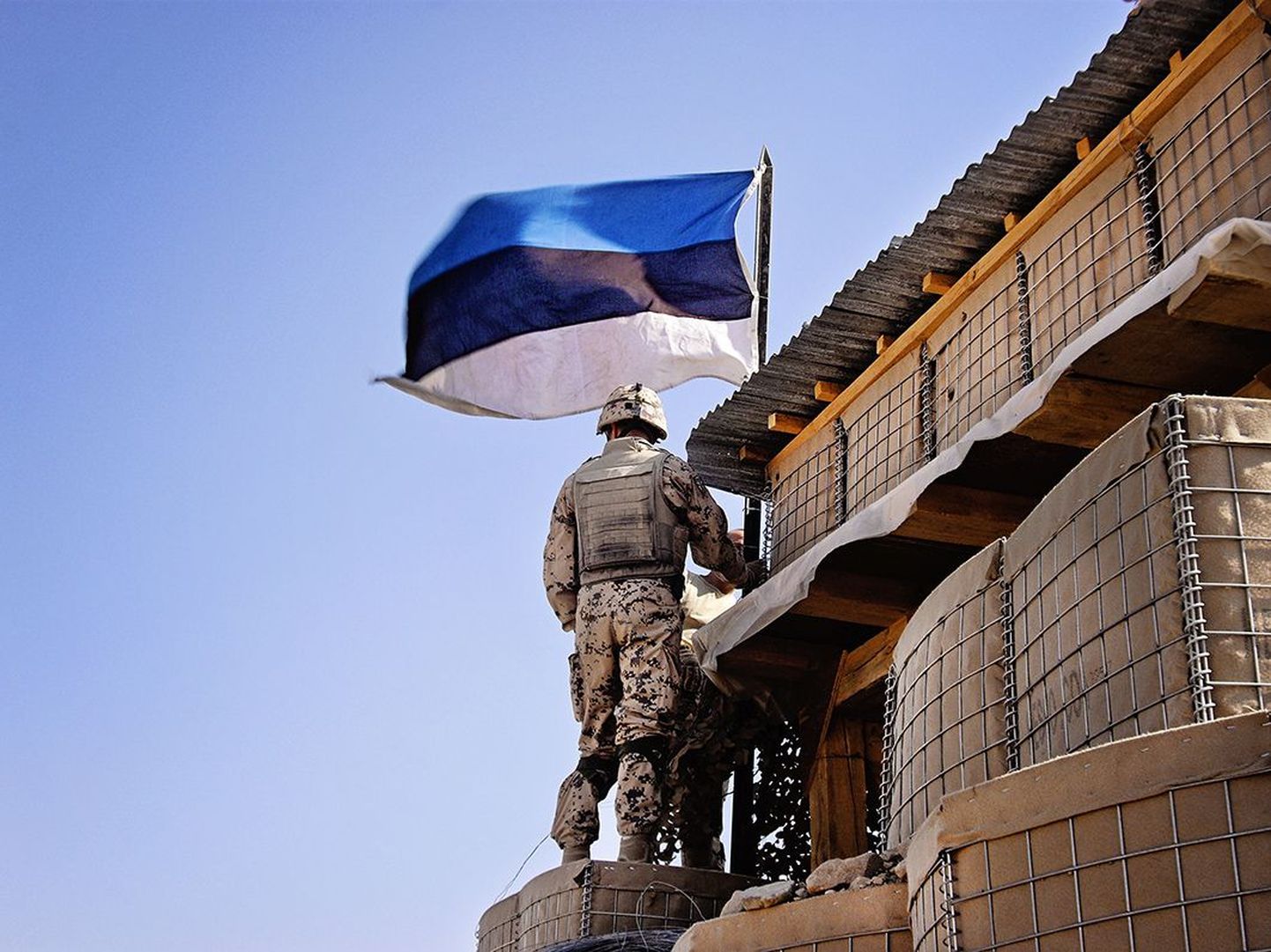 Эстонский солдат с флагом.
