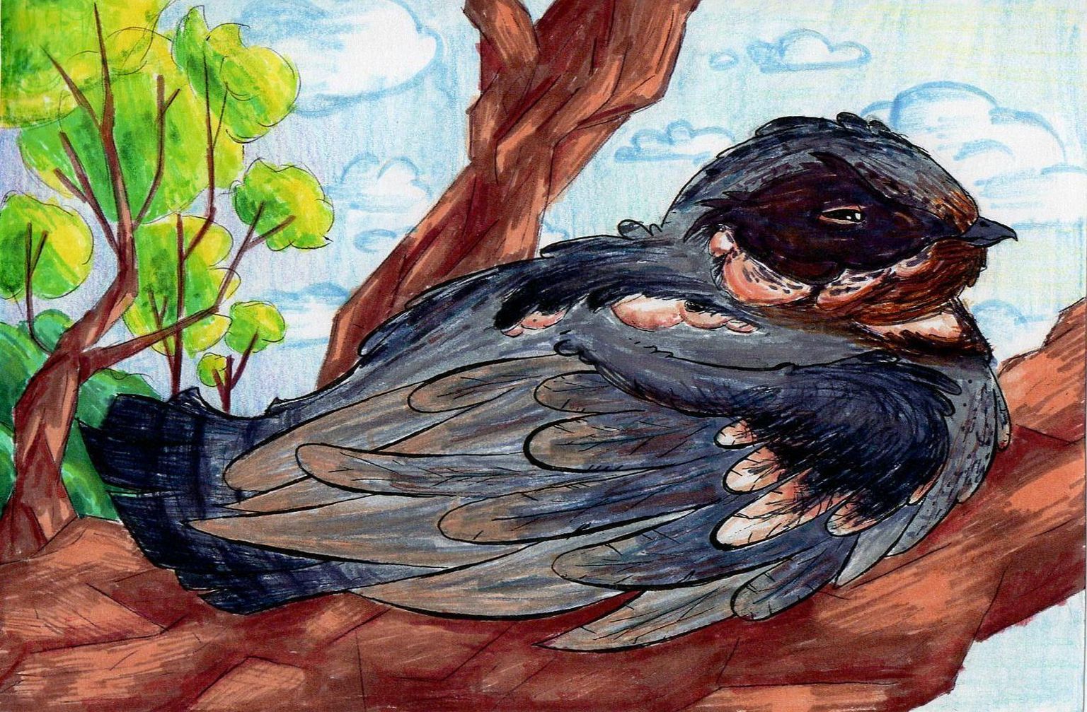Alison Moora metsapostkaart “Uinuv kassikull”.