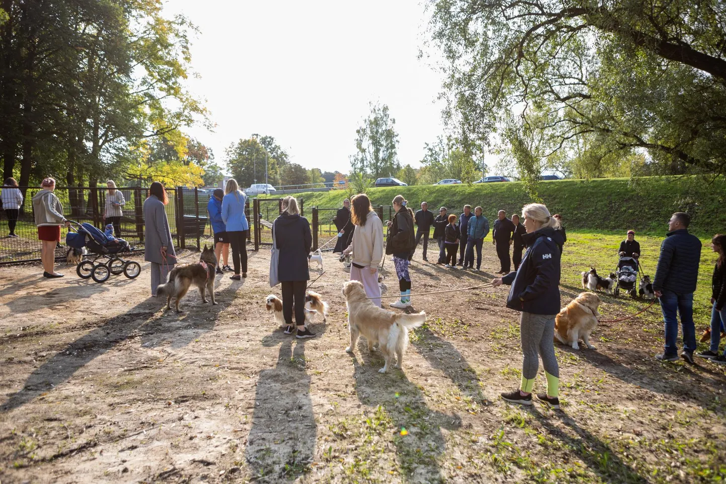 Ülemöödunud aasta kaasava eelarve võitis Toomas Linnu esitatud idee rajada Viljandisse esimene koertepark. Rahvahääletuse ajal tegi Linnu koertepargile reklaami muu hulgas poeraadios ning kogus oma ideele 844 häält.