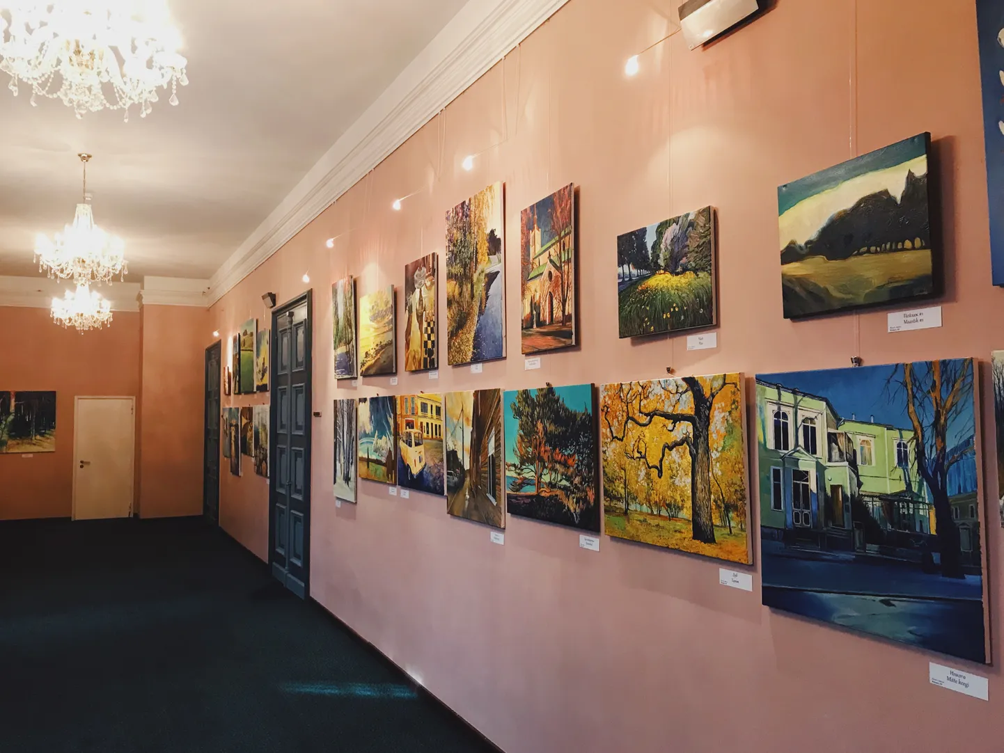 В галерее Русского театра открылась выставка работ Дмитрия Косякова «Сад впечатлений».