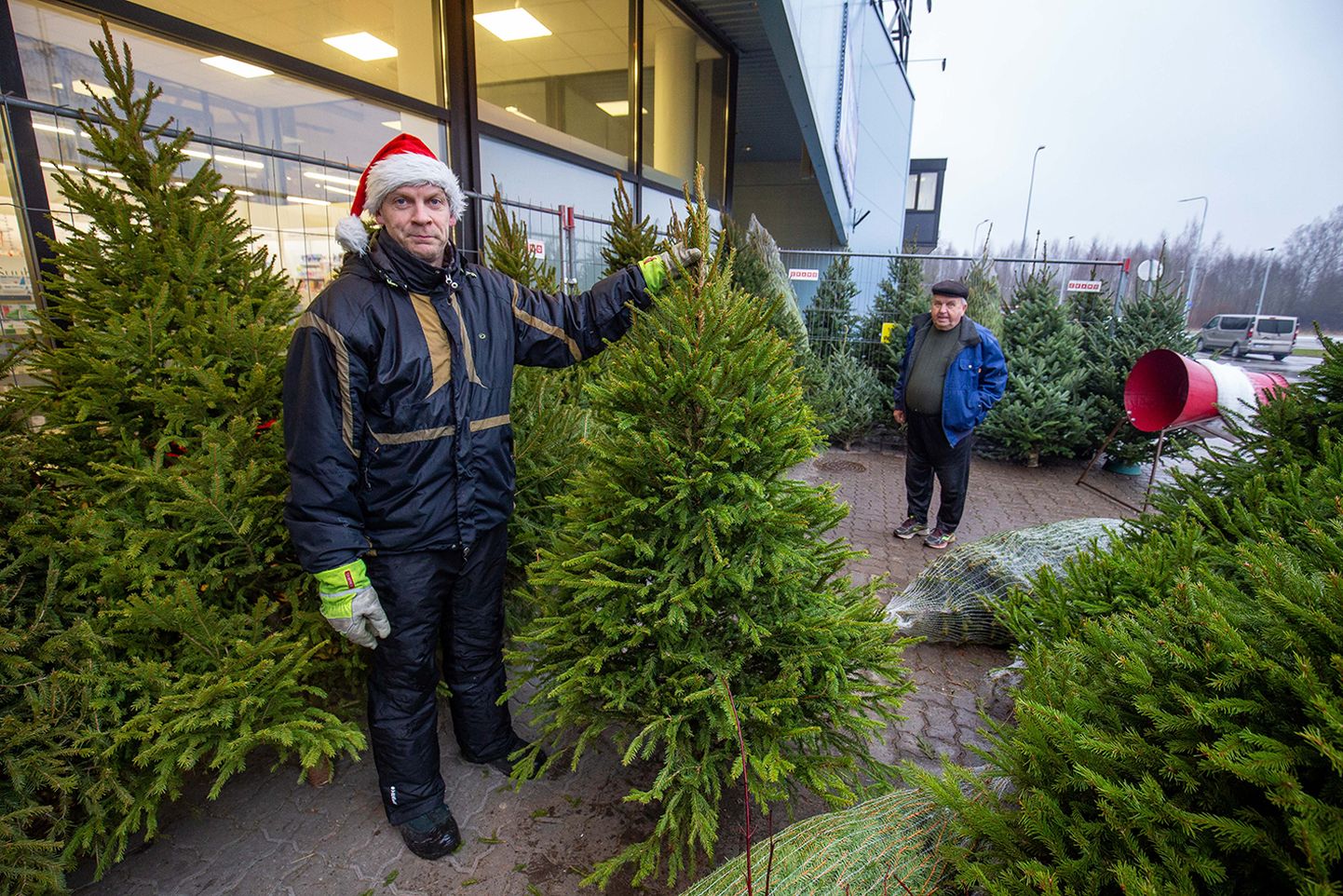 Paide Maksi­marketi ees kuuski müüv Kalle ütleb, et plastist jõulupuud ei ole kunagi nii ilusad kui päris kuused.
