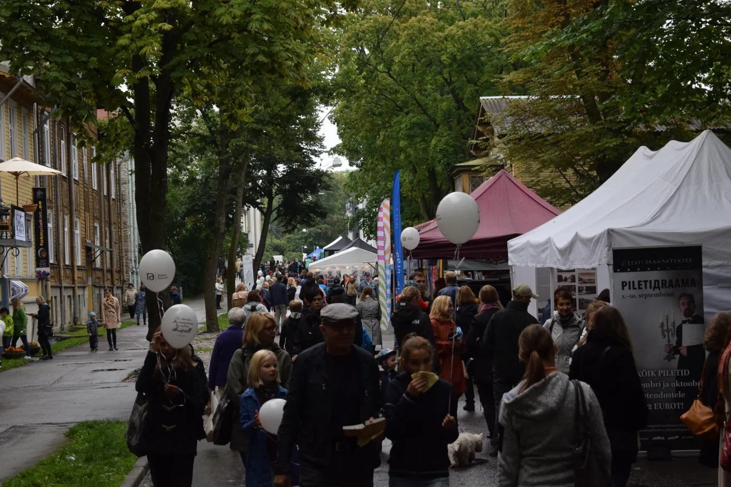 Esimene kirjandustänava festival tõi kokku arvukalt raamatusõpru.
