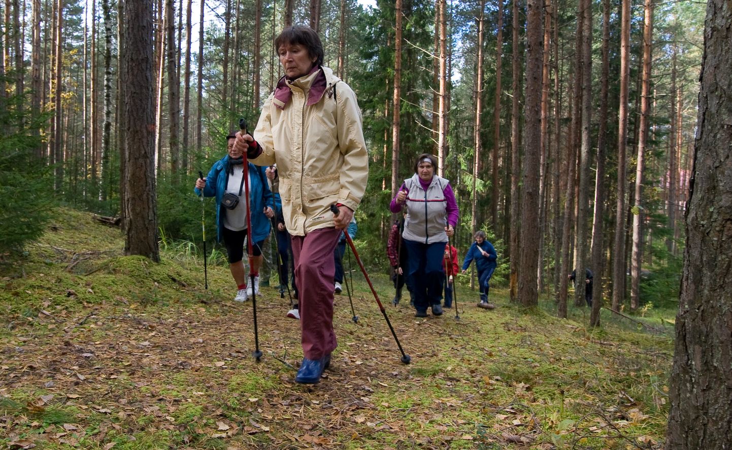 Kepikõndijad Pannjärvel, kus kulgevad ka Alutaguse esimese kõnnimaratoni rajad.