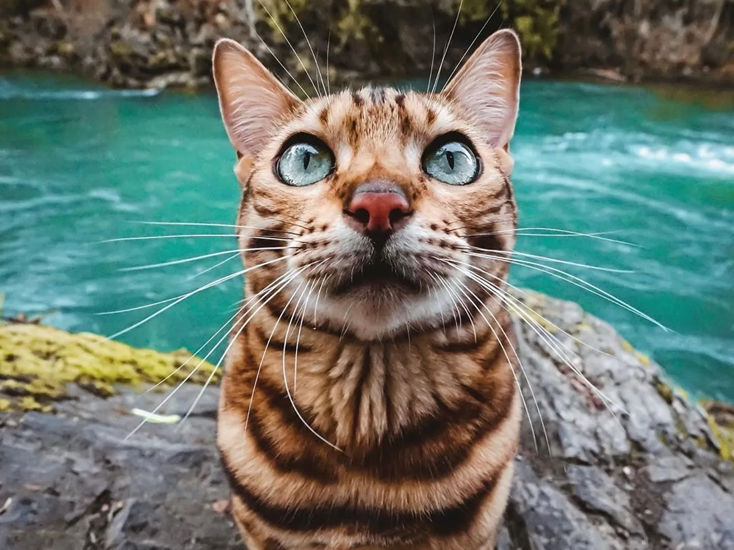 Raksta foto