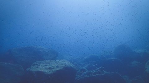 Deep ocean may hold more nutrients than previously thought, study finds