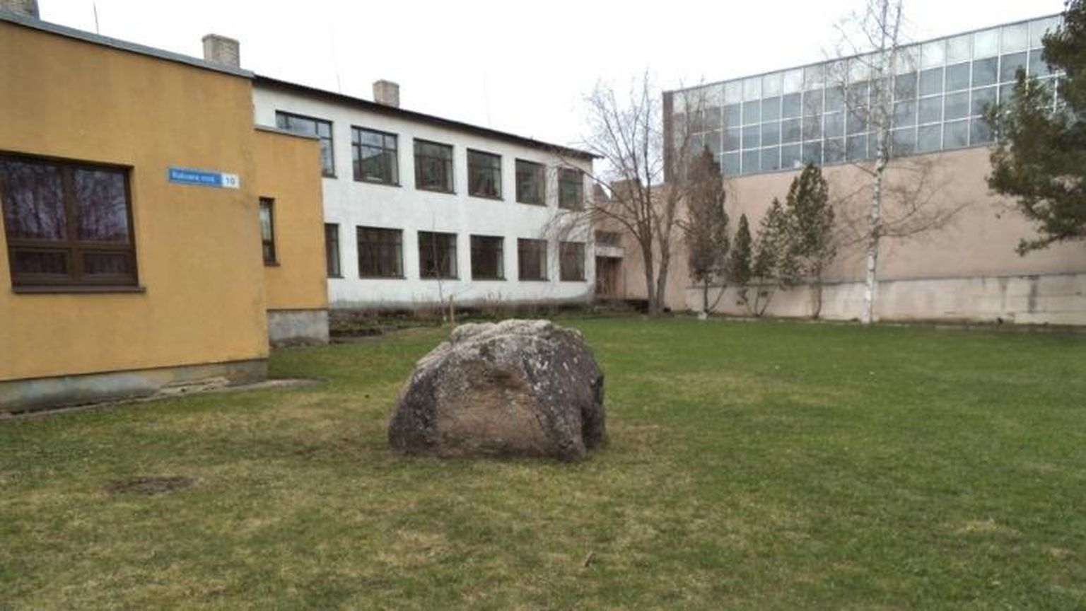 Hellitlevalt ka Haljala kooli brändrahnuks nimetatud kultuskivi on jäänud kesk koolimaja ehituse tallermaad.