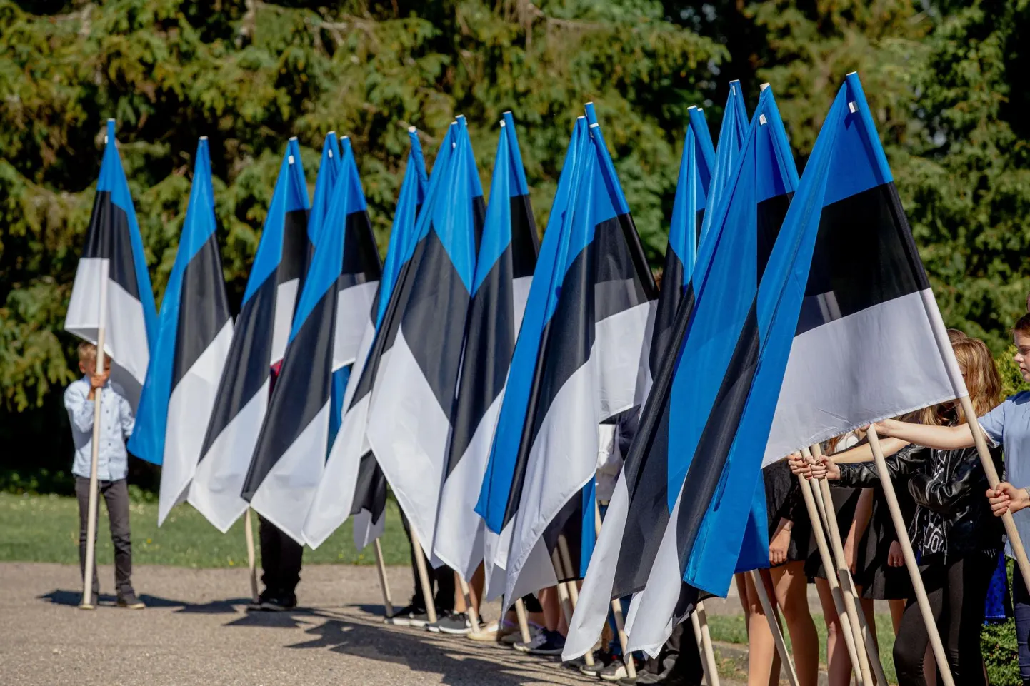 Eesti lipu 135. aastapäeva tähistamine juunikuus Sindis.