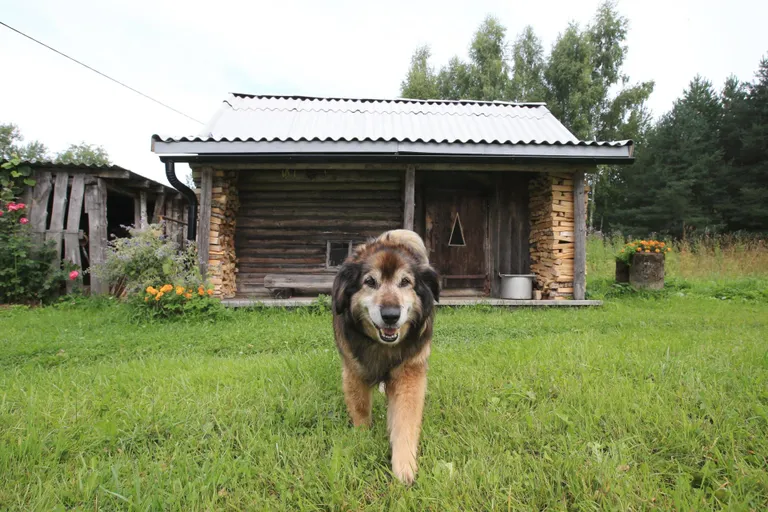 Taluvalvur Riidu vaatab oma valdused üle. Taamal Setomaalt Tartumaale veetud suitsusaun.