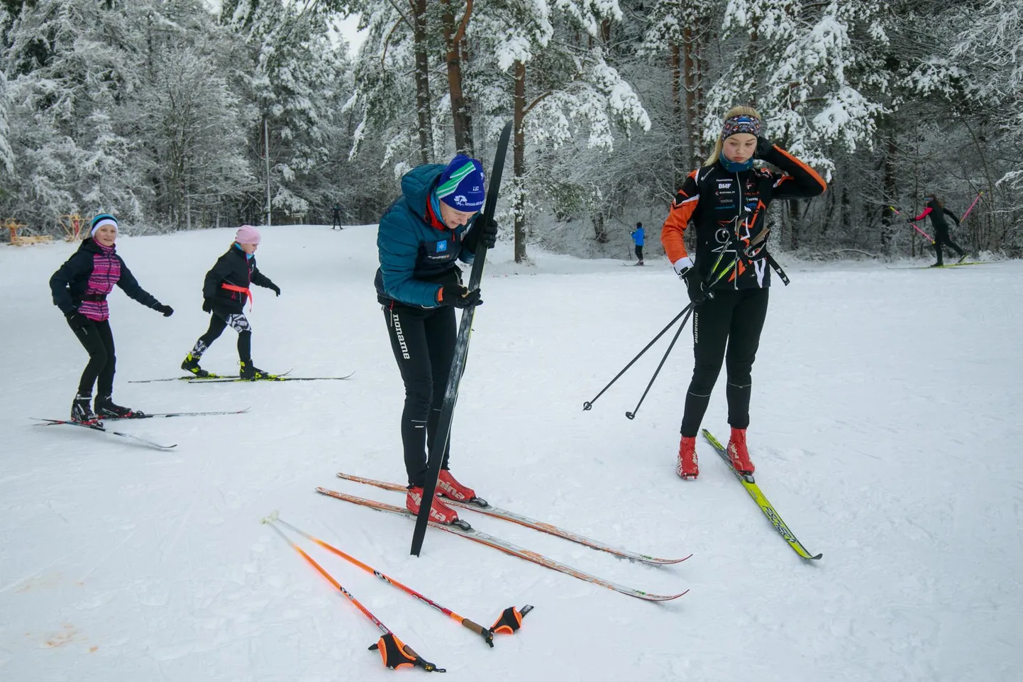 Suusahullus on toonud müügipeo. Lumerohkus on pannud inimesed murdu suusatama ja suusakaupade müügis tehakse tänavu rekordeid. Murdmaasuusatamisega tipptasemel tegelenud Tapa ja Rakvere spordikooli treener Kaili Ots (vasakul ees) on õpilastega sel aastal radadel igapäevane harjutaja.
