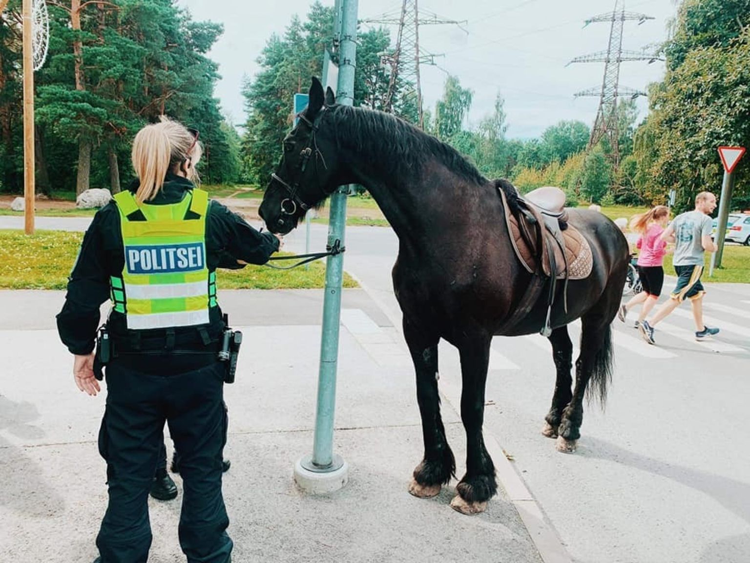 Догнала лошади. Лошадь на улице. Лошади в Таллинне. Полиция Таллина. Лошадка сбрасывает.